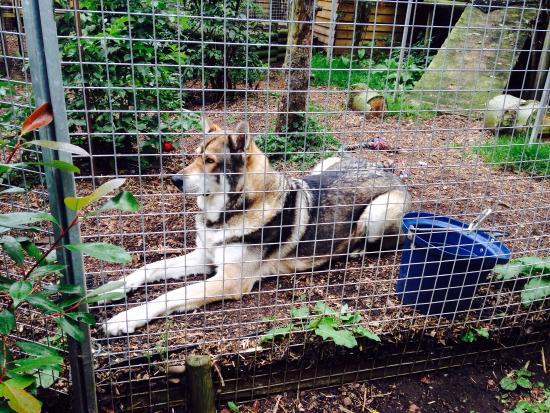 Gentleshaw Wildlife Centre